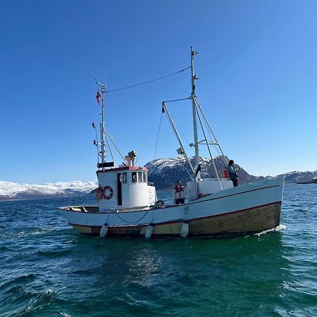 Maribell Sjobuer As Apartman Tromsø Kültér fotó